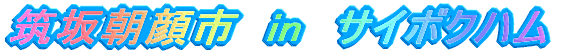 }⒩s@in@TC{Nn